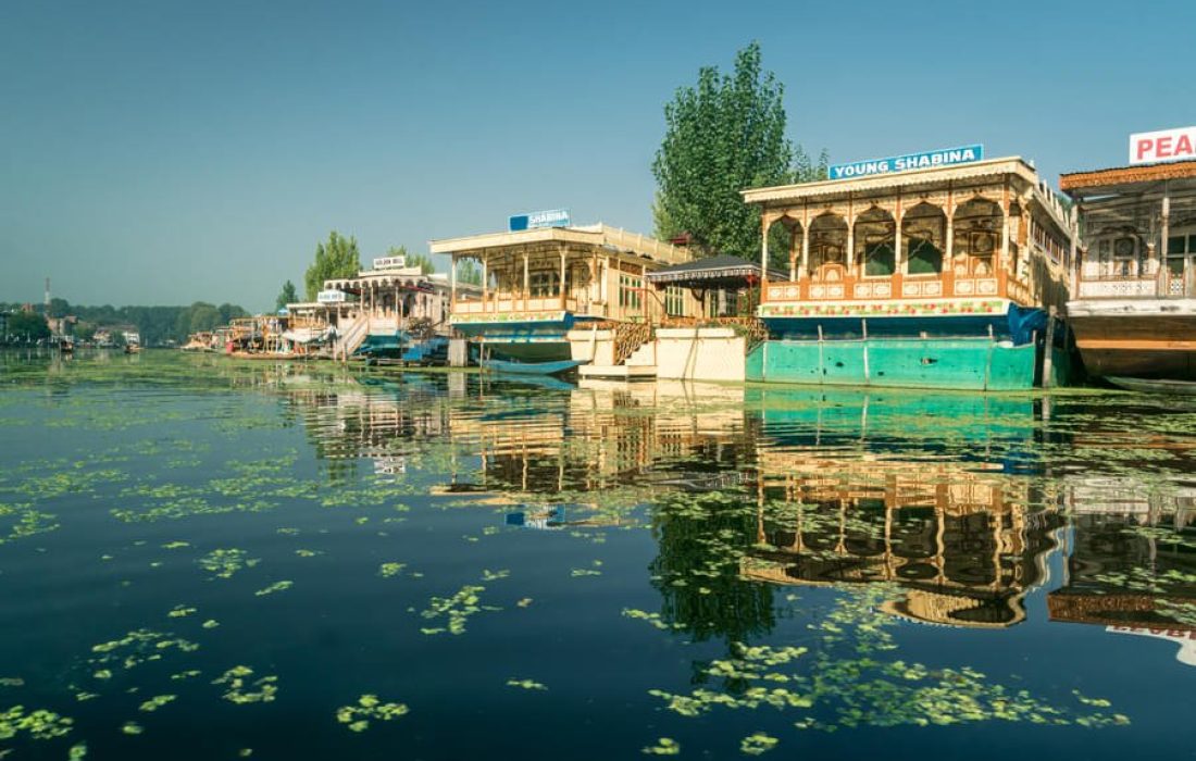 8xtcwkg4c17tt1t85xtoqlog6j99_shutterstock_12825237