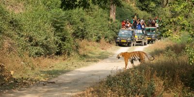 jim-corbett