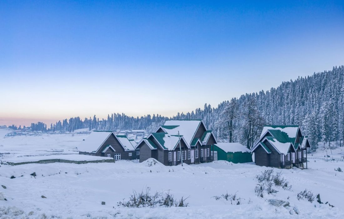 pudf81tcvqjsvq14htc6j2odh5nn_shutterstock_23304739