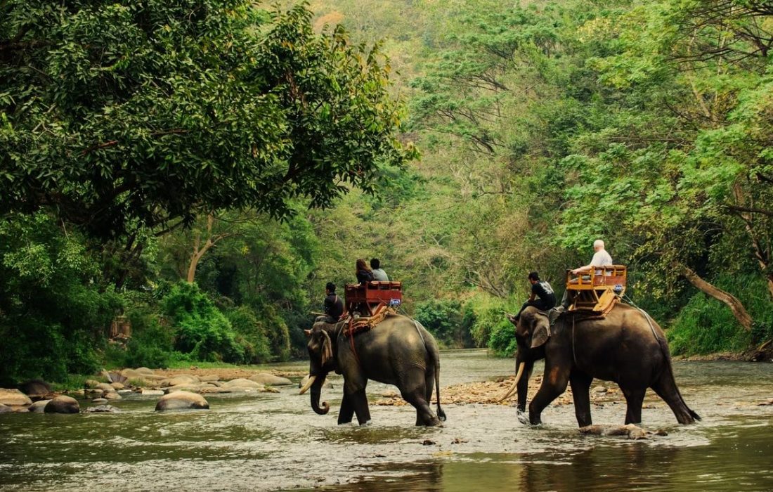 r9yr5wq4nwd3h3u39e9aoozdbbmn_shutterstock_250362976-min