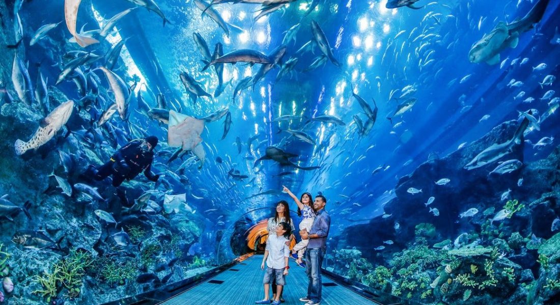 rbfpnbim9d5uw3iuwfcjk928yy5j_29d07cda-b6e3-447f-a225-2b55cea6b159-2545-dubai-dubai-aquarium---underwater-zoo---burj-khalifa-combo-02-min